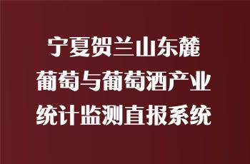 活动宣传