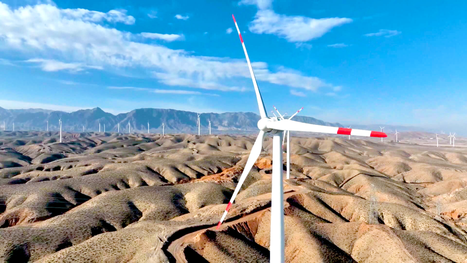 总投资3 (19)1.jpg