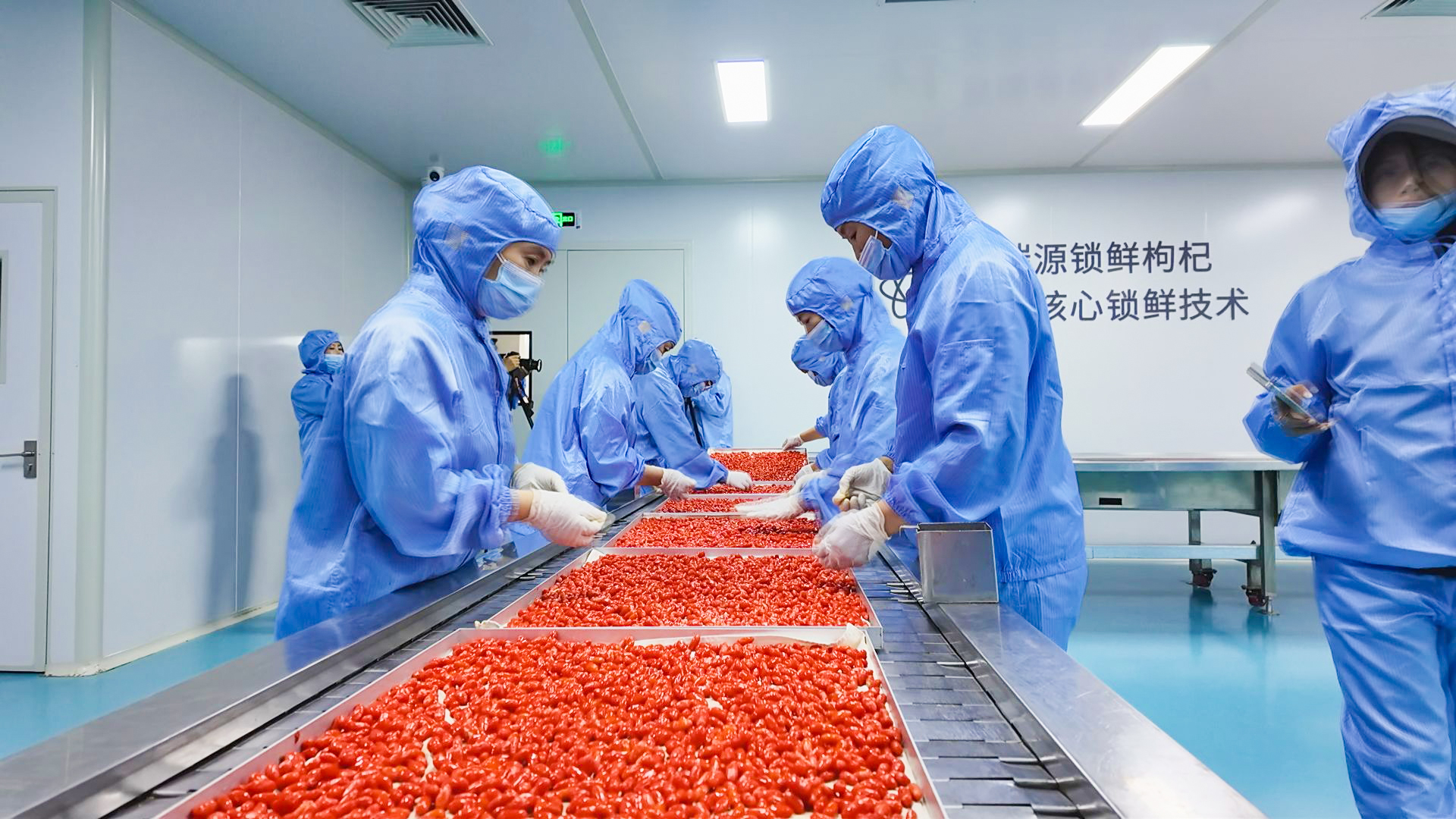 锁鲜技术焕新升级 百瑞源锁鲜二期项目投产引领行业新标杆 (9)1.jpg