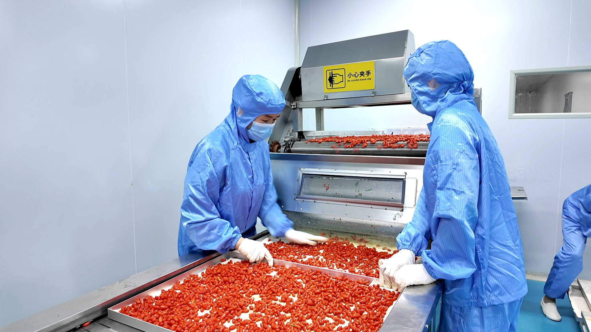 锁鲜技术焕新升级 百瑞源锁鲜二期项目投产引领行业新标杆 (26)1.jpg
