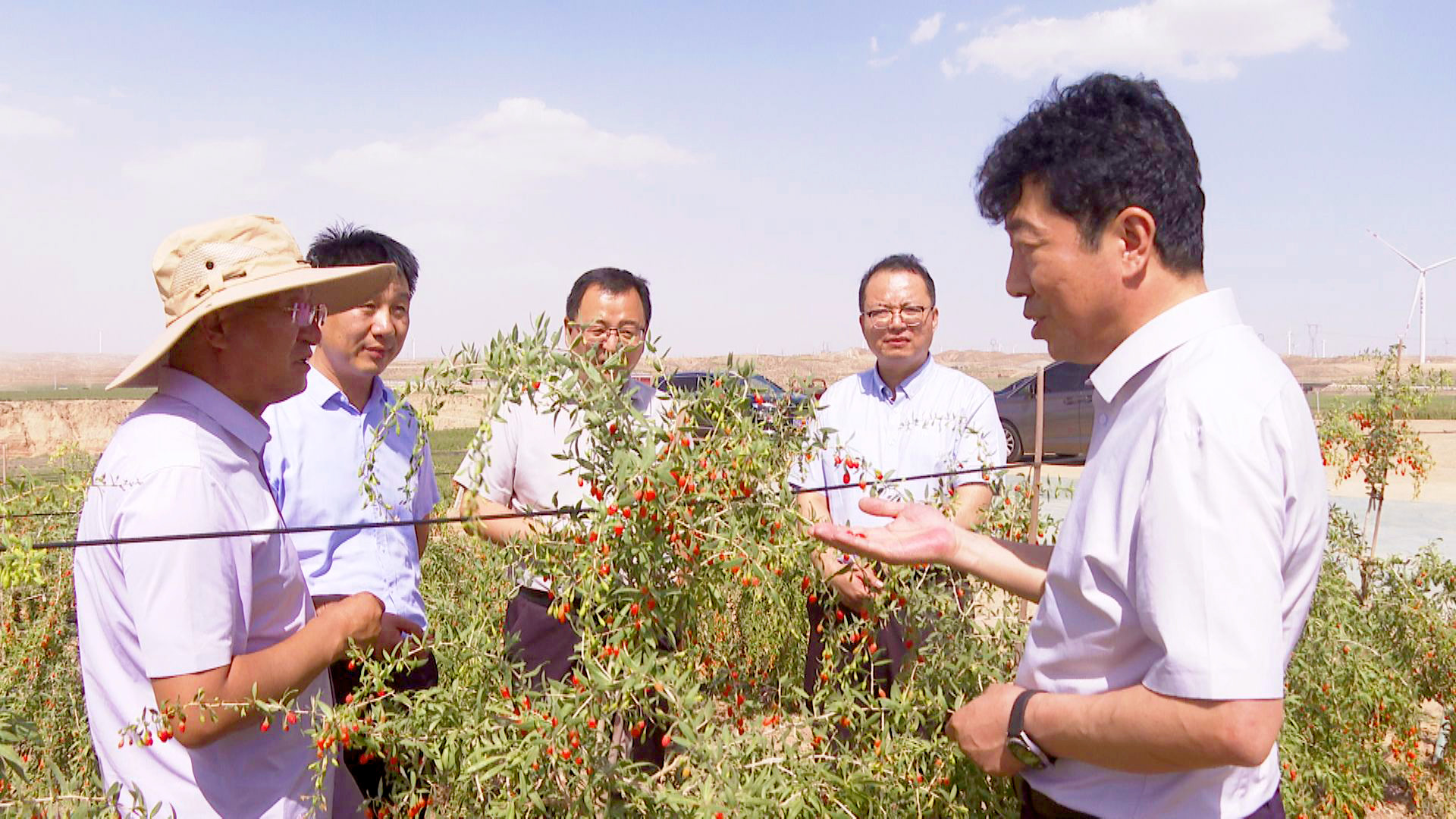 校地合作助推中宁生态文明建设迈上新台阶 (4)1.jpg