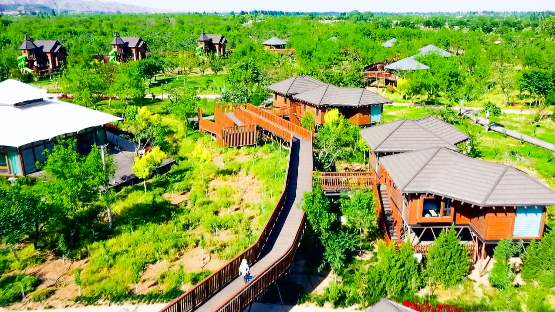中宁：唱响转型发展主旋律 谱写产业升级新篇章 (136)1.jpg