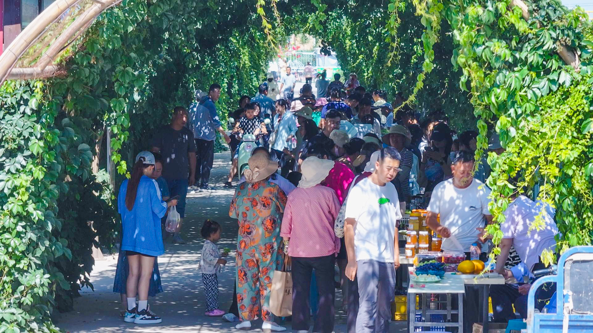 新堡镇举办第四届休闲观光采摘节 (14)11.jpg