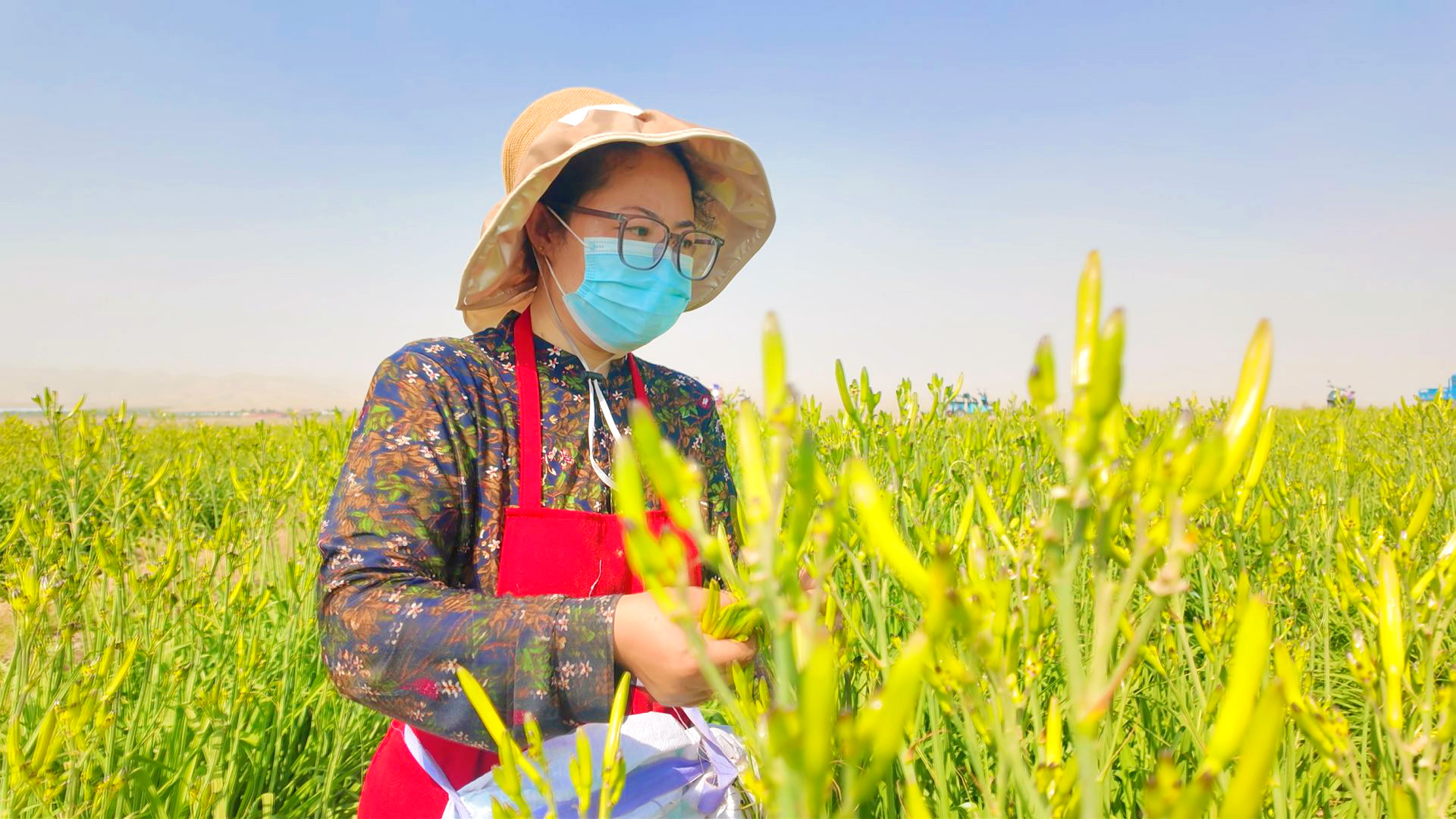 喊叫水乡上庄子村：小黄花绽放致富路 (8)1.jpg