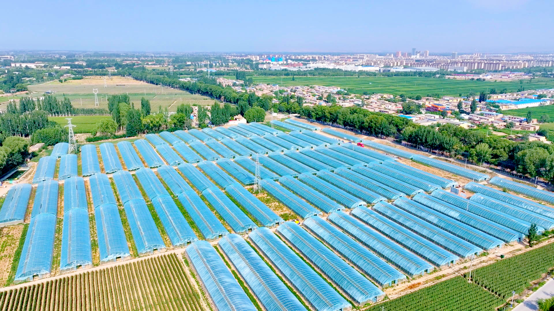 恩和镇开启智慧农业新篇章 (10)1.jpg