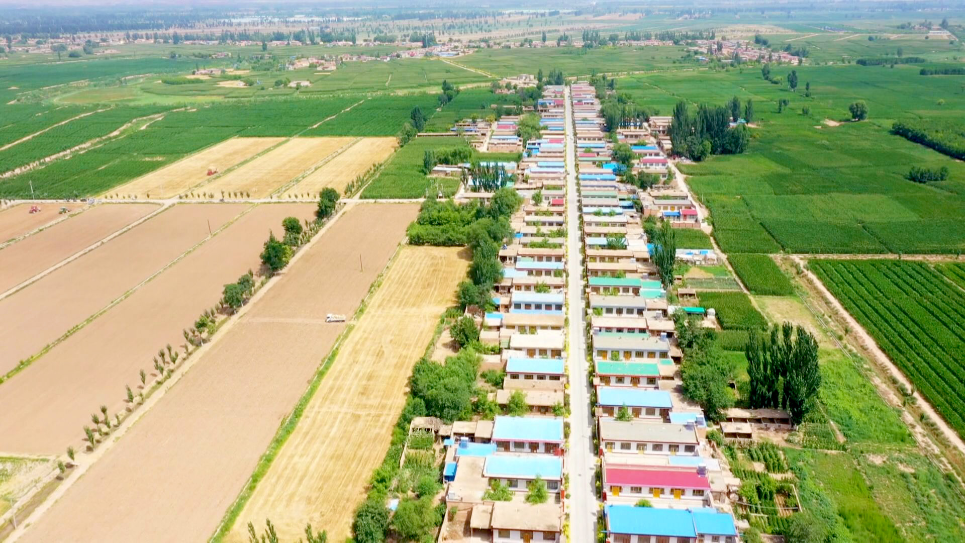 恩和镇开启智慧农业新篇章 (3)1.jpg