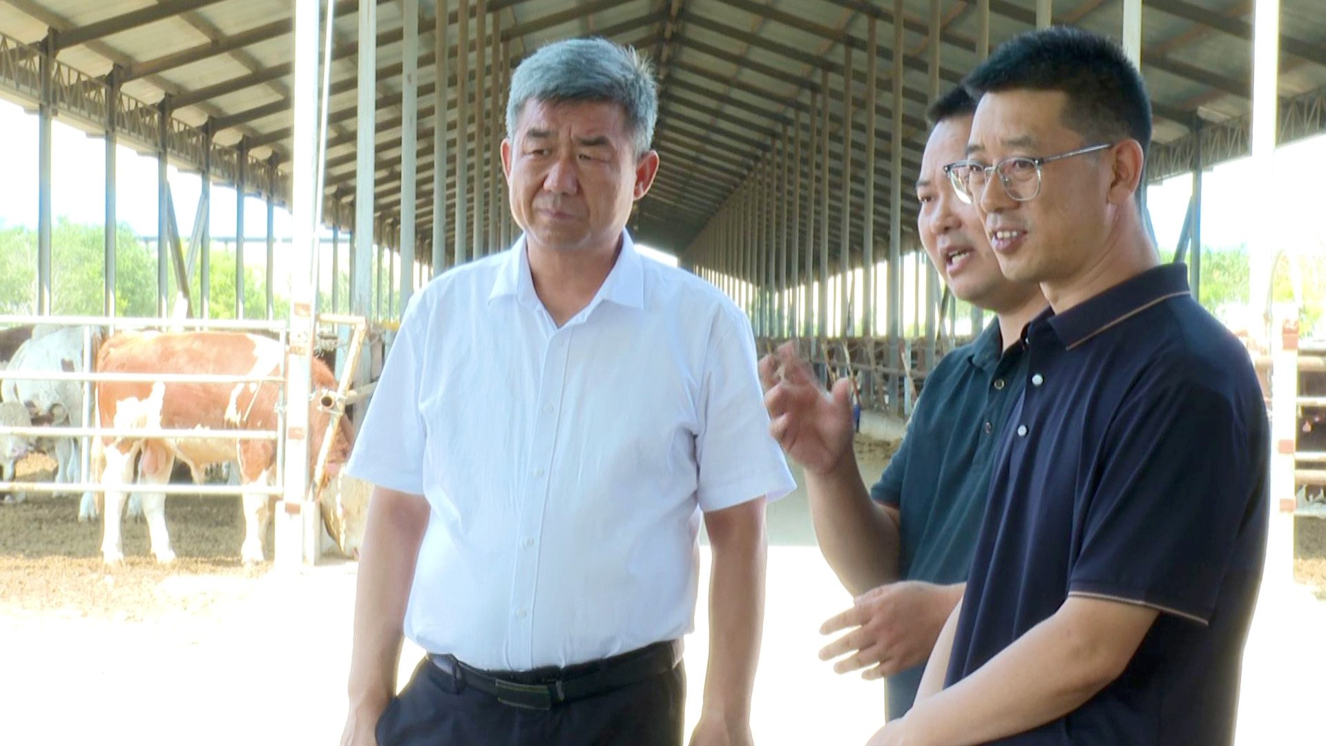 赵彦林调研督导巩固拓展脱贫攻坚成果同乡村振兴有效衔接及低收入群体摸底促增收工作 (18)ok.jpg