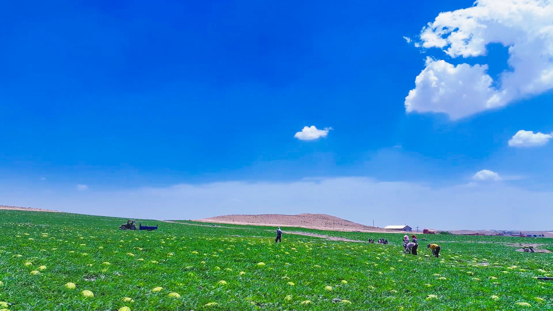 中宁县创新服务要素配置 (11)1.jpg