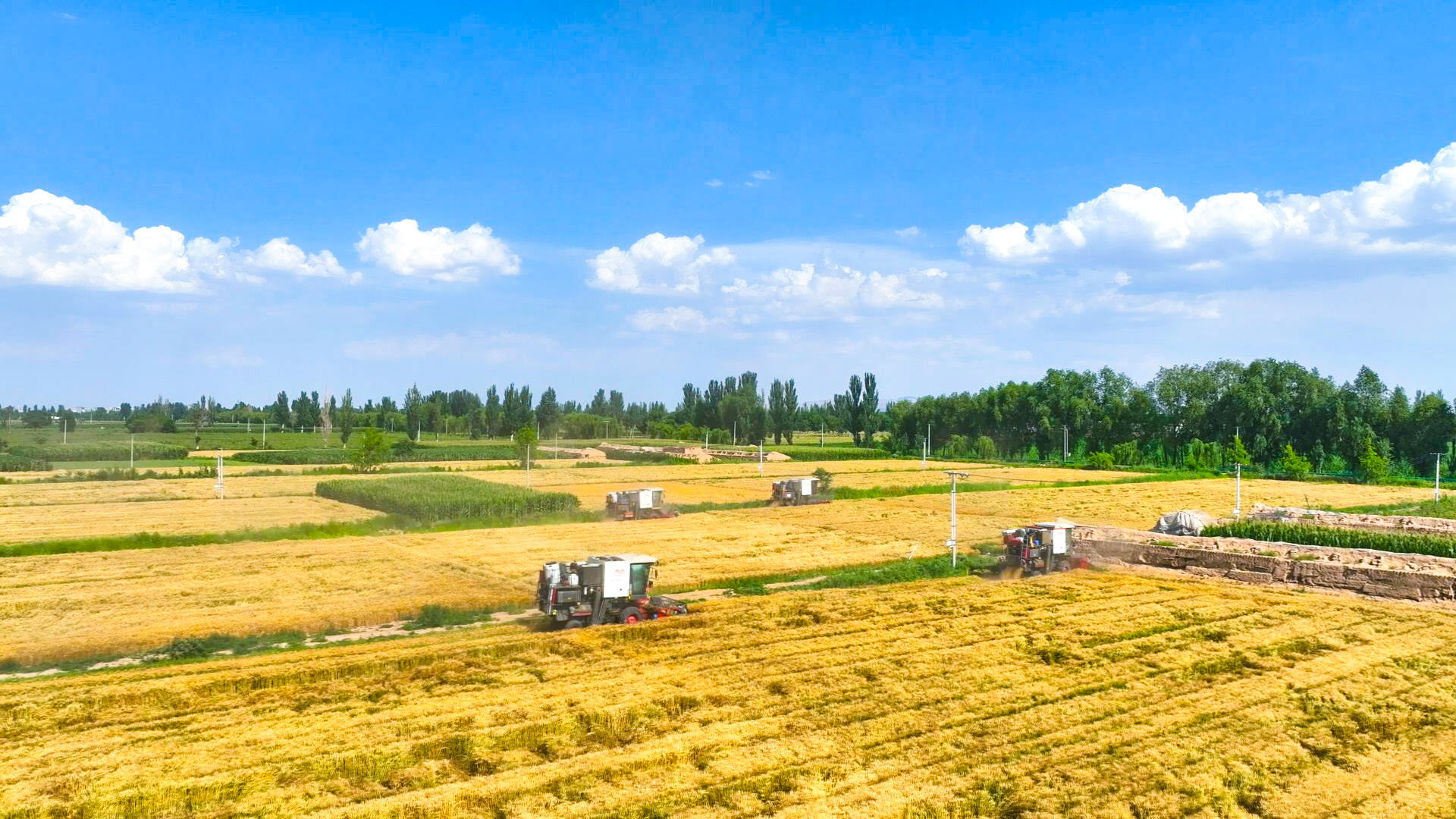 中宁县创新服务要素配置 (16)1.jpg