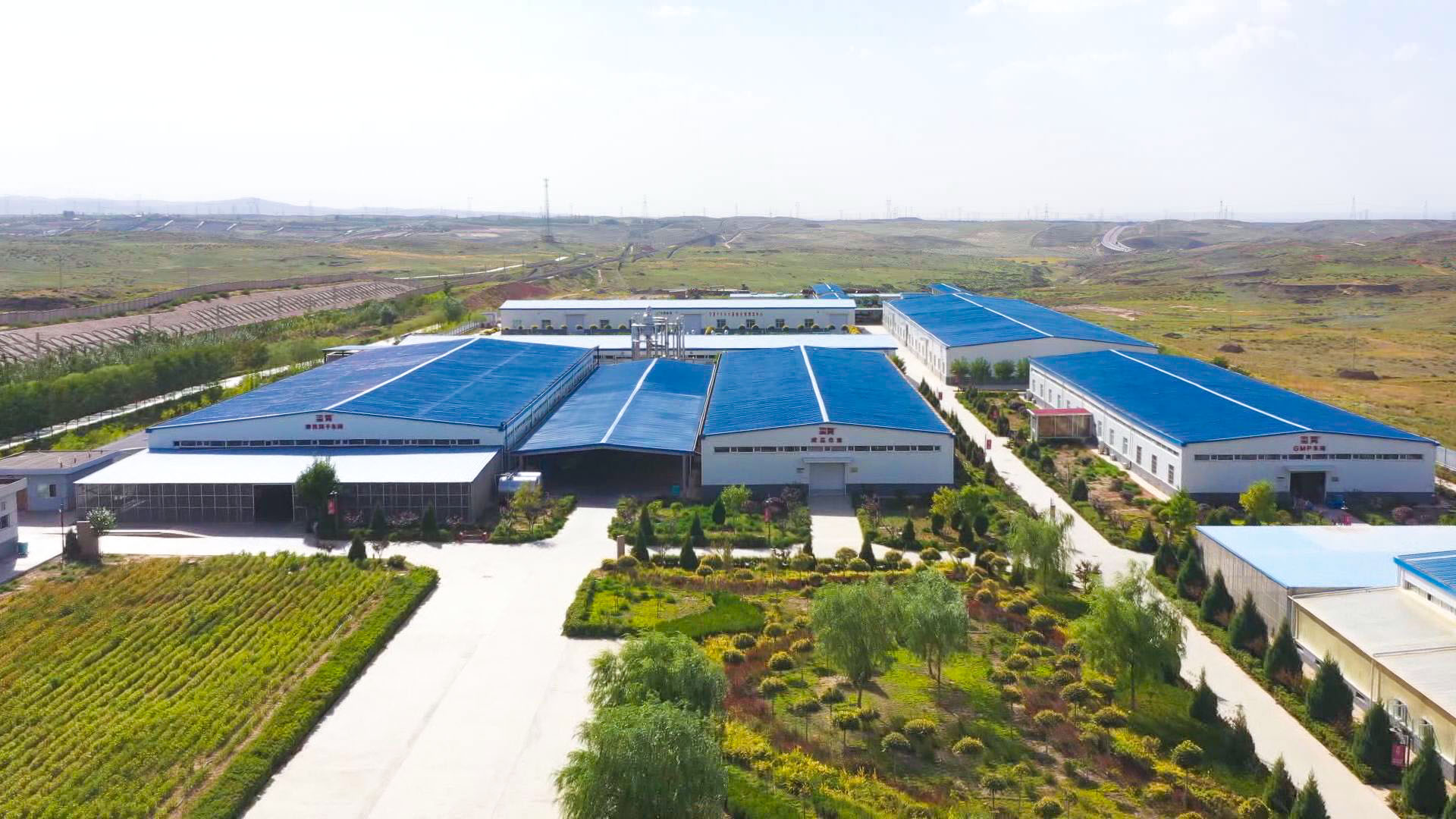 中宁县：改革集成助力枸杞产业升级 (10)1.jpg