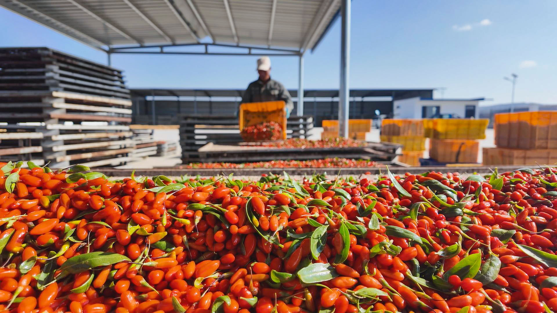 白马乡新田村 (24)2.jpg 白马乡新田村 (24)2.jpg