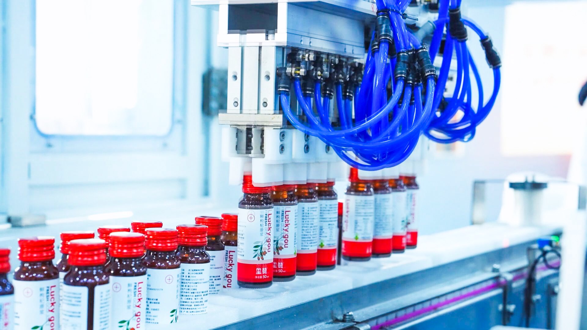 中宁枸杞跻身全国地理标志综合价值50强 (19)3.jpg 中宁枸杞跻身全国地理标志综合价值50强 (19)3.jpg