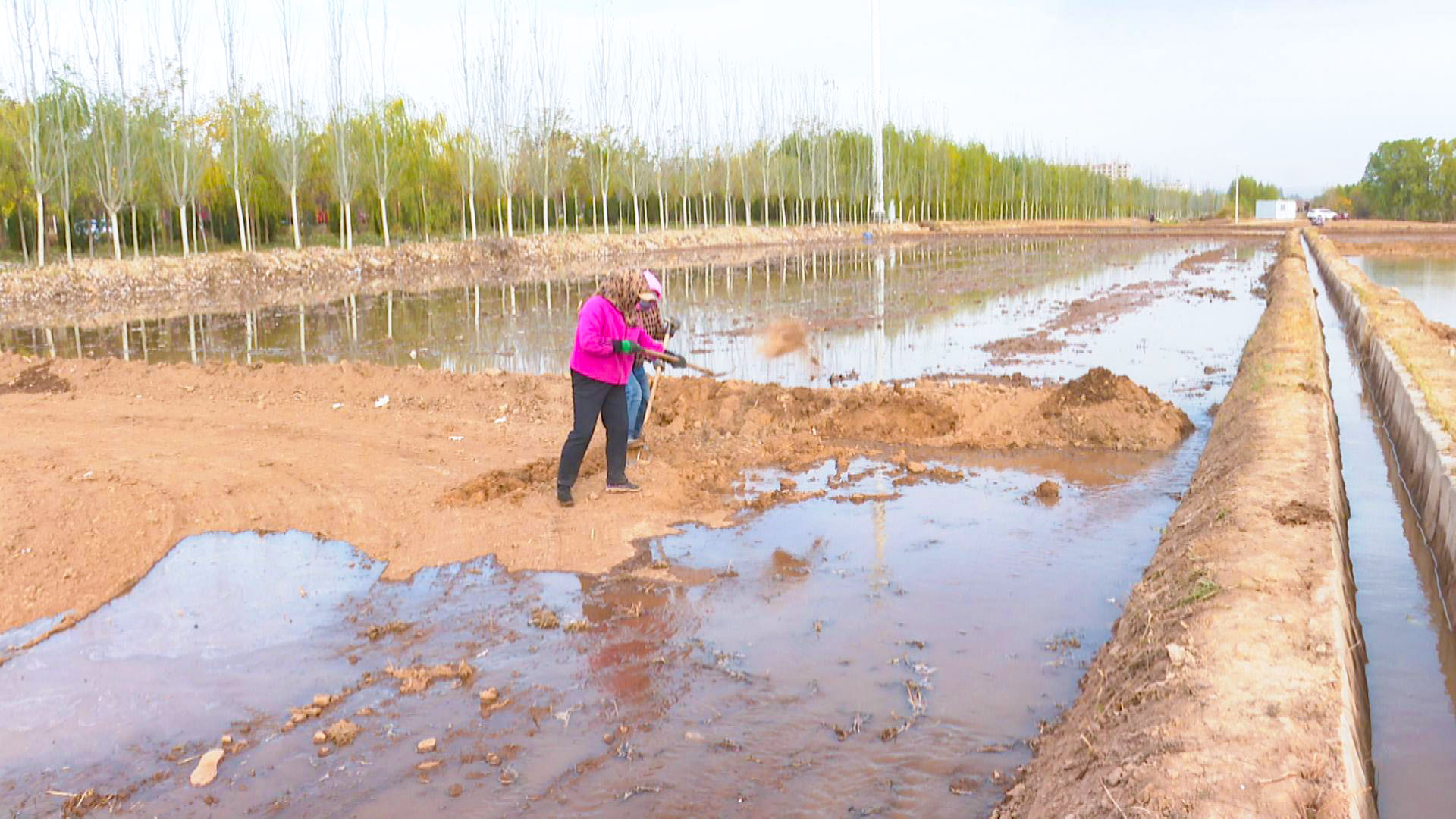冬灌“润”田待丰年 我县冬灌工作正有序推进 (9)1.jpg 冬灌“润”田待丰年 我县冬灌工作正有序推进 (9)1.jpg