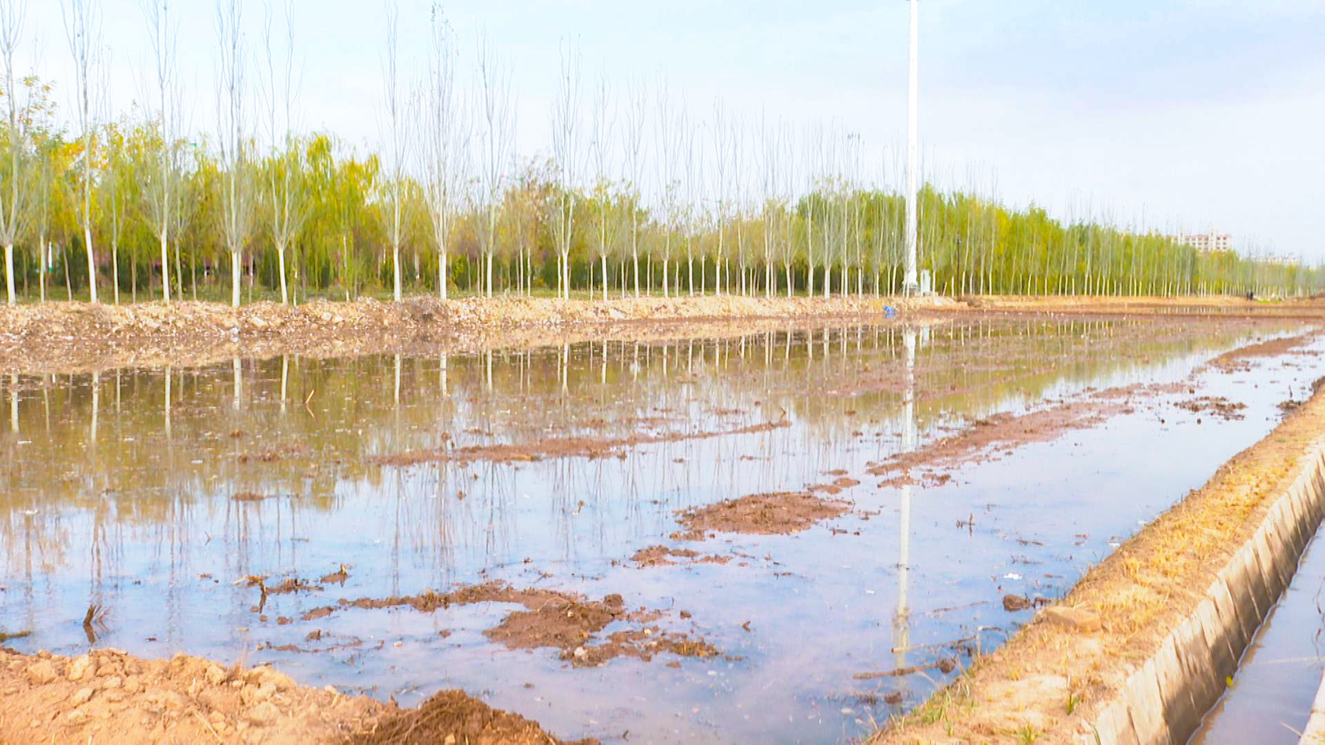 冬灌“润”田待丰年 我县冬灌工作正有序推进 (5)1.jpg 冬灌“润”田待丰年 我县冬灌工作正有序推进 (5)1.jpg