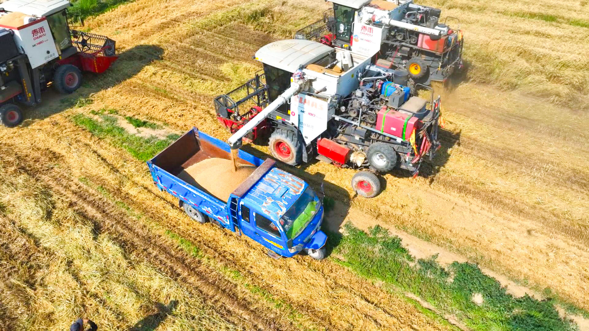 前三季度中宁县经济运行总体平稳 (17)1.jpg 前三季度中宁县经济运行总体平稳 (17)1.jpg