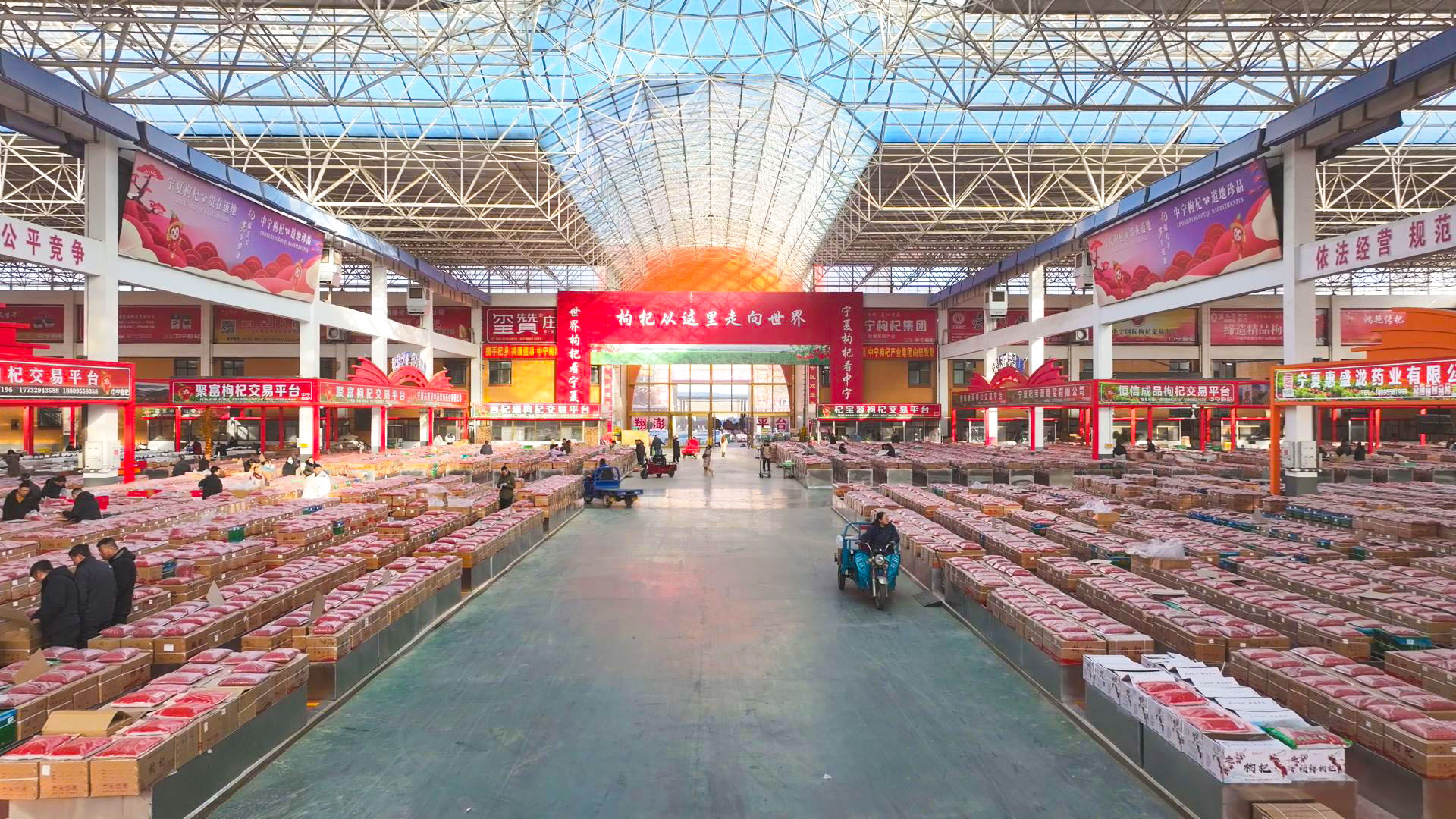 买西北、卖全国、销全球 中国枸杞从这里走向世界 (15)1.jpg 买西北、卖全国、销全球 中国枸杞从这里走向世界 (15)1.jpg