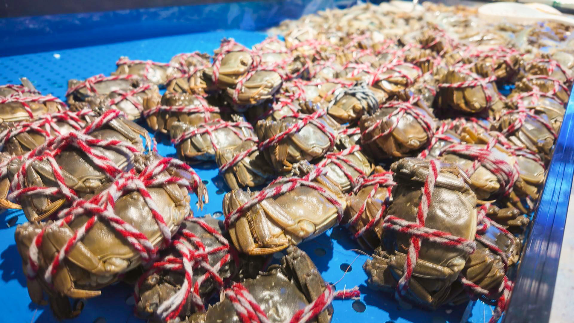 中宁县首家“胖改店”迎来“开门红” (47)2.jpg 中宁县首家“胖改店”迎来“开门红” (47)2.jpg