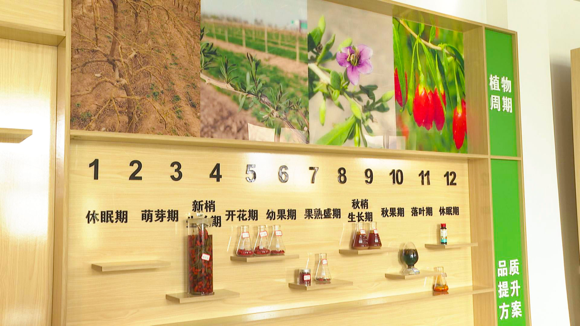 中宁枸杞科技小院:科技扎根杞乡 赋能产业升级 (7)1.jpg 中宁枸杞科技小院:科技扎根杞乡 赋能产业升级 (7)1.jpg