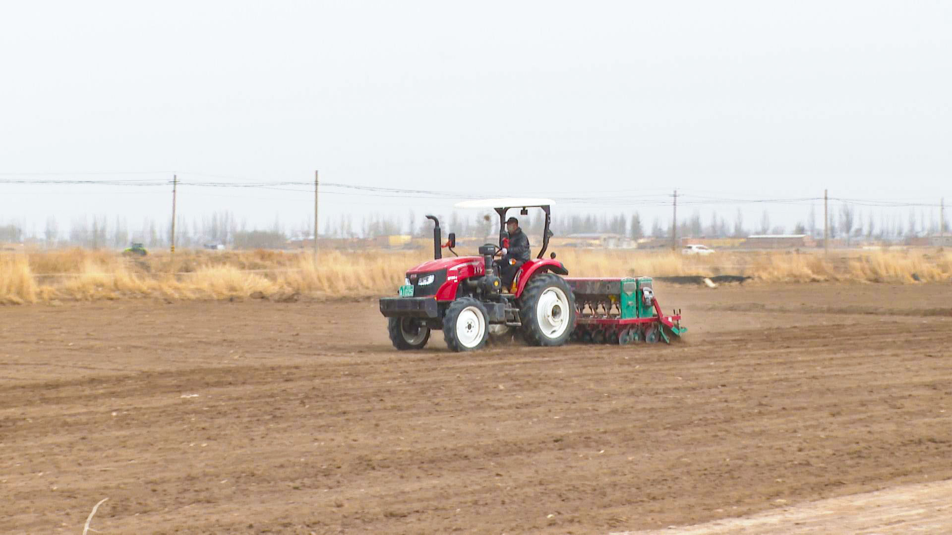 宁安镇：抢抓农时全面推进小麦播种工作 (2)1.jpg