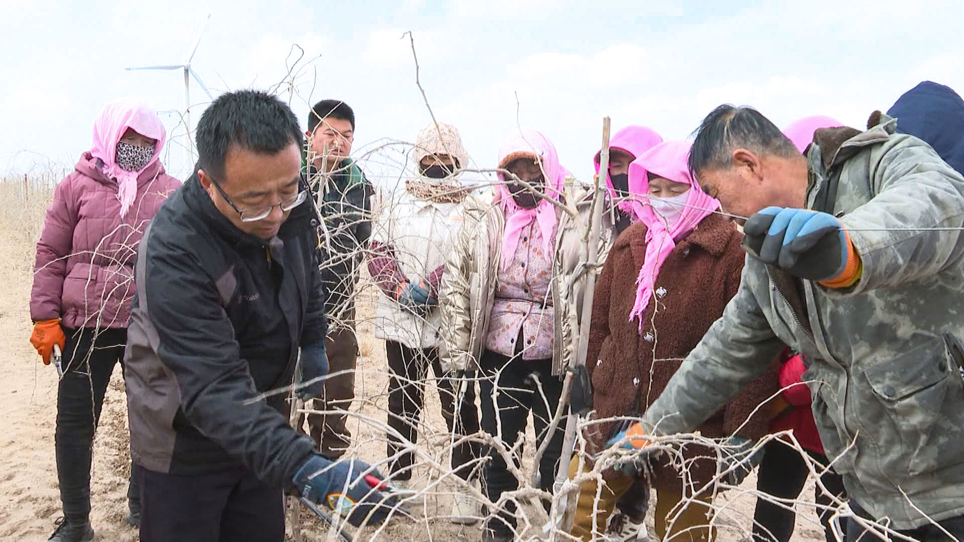 宁夏农林科学院科技服务团赴中宁县开展科技服务 (1)1.jpg