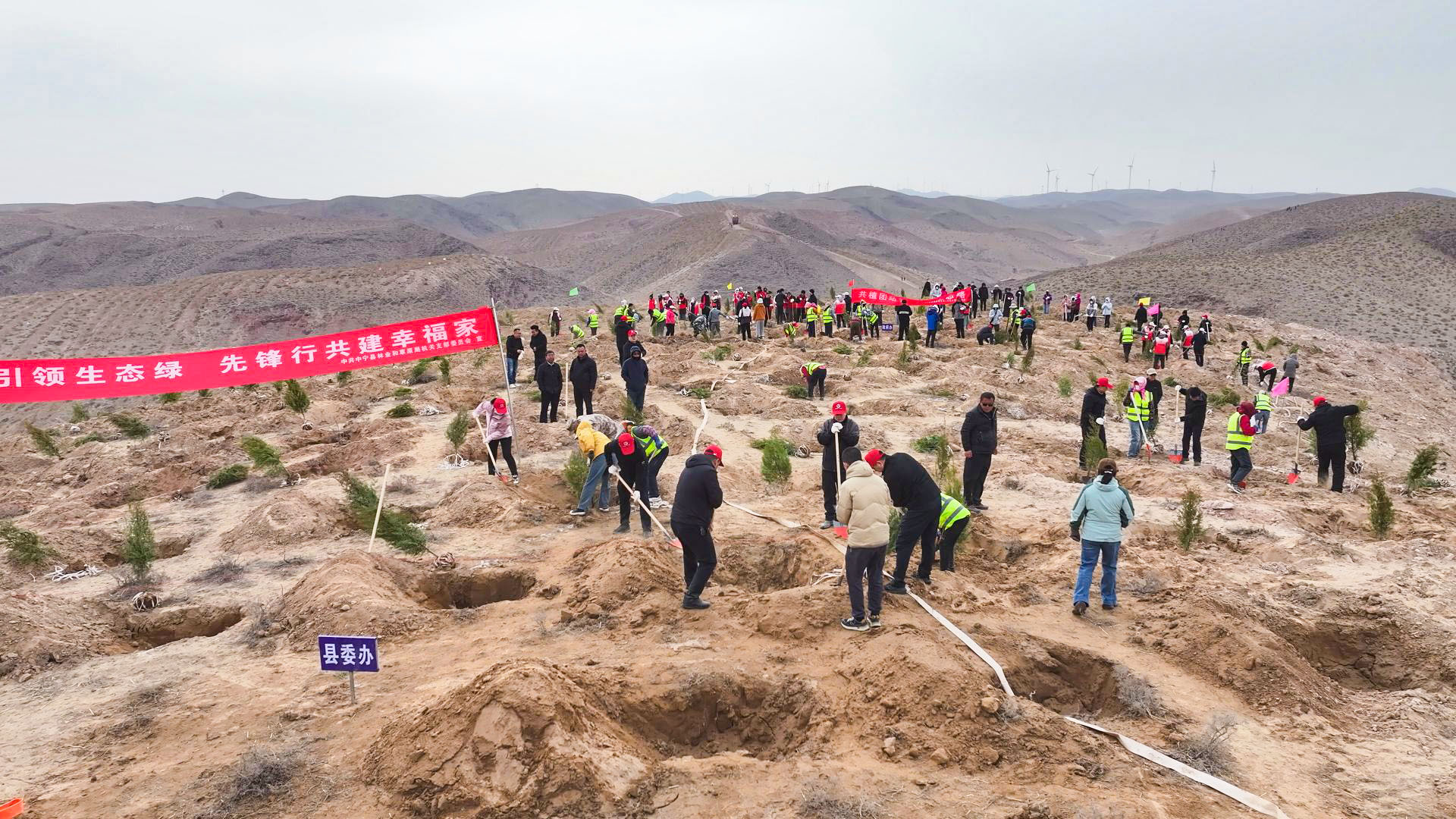 不负春光添新绿 携手共植“团结林” 中宁县开展春季义务植树活动 (31)1.jpg