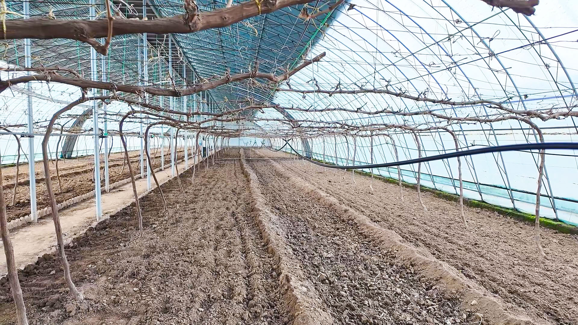 石空镇扎实推进村集体经 (19)1.jpg