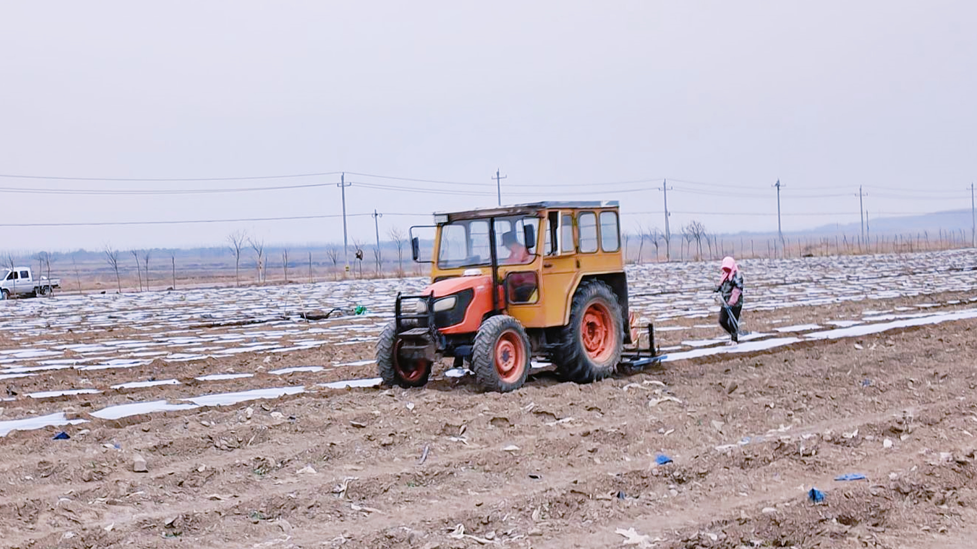 白马乡：特色西瓜种植描绘产业“丰”景 4.jpg
