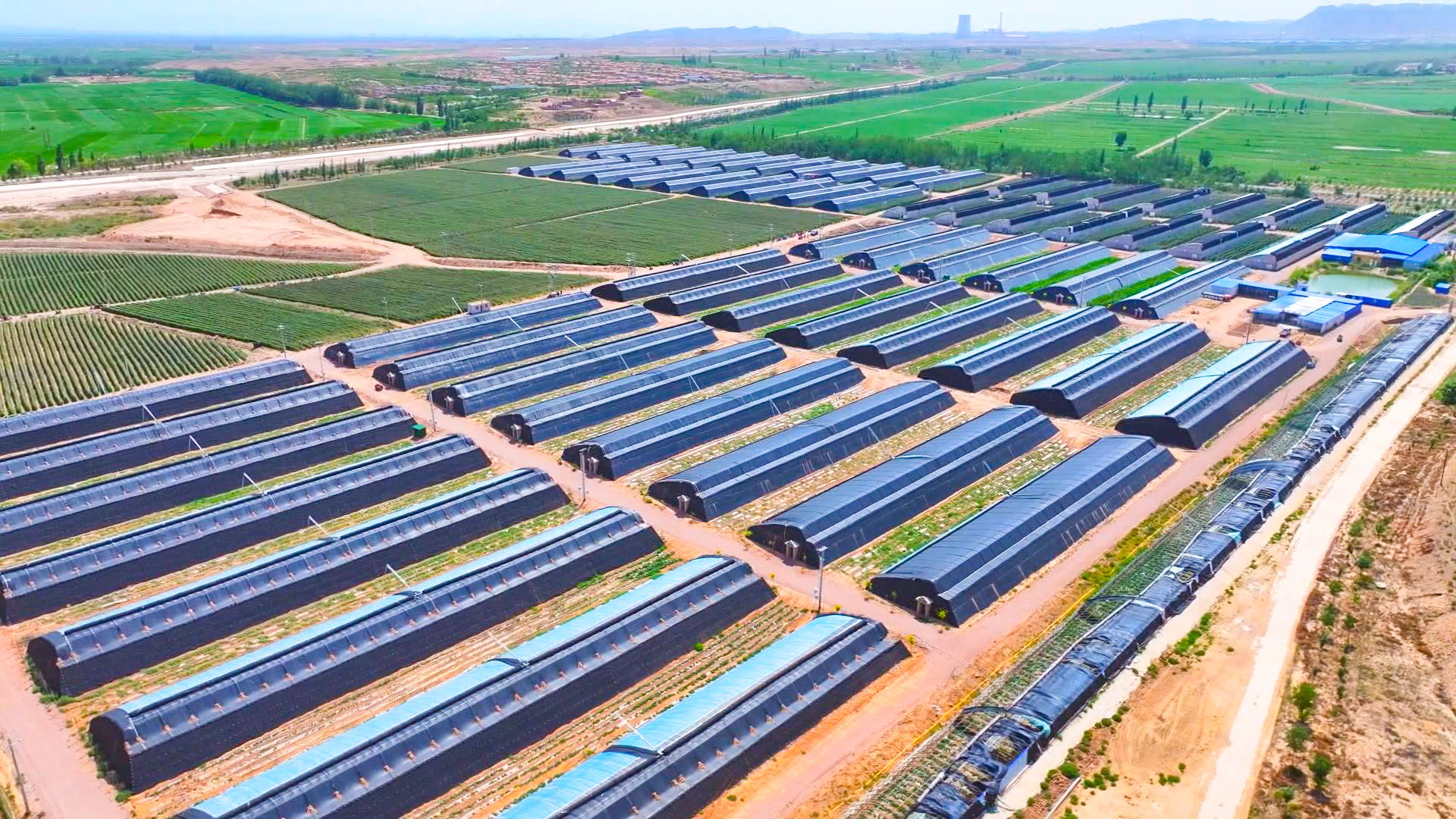 隆原村党支部副书记 陈彦荣 (3)1.jpg