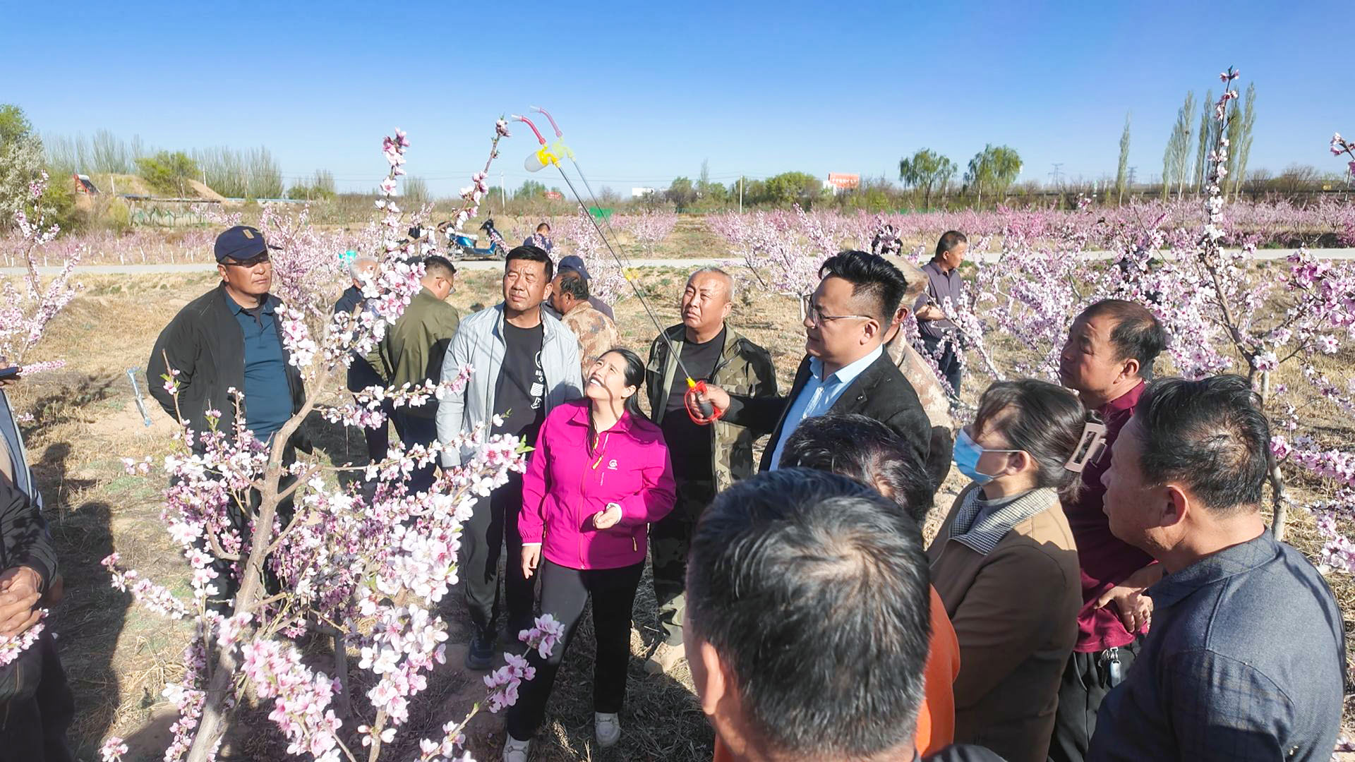 以花为媒传农技 科学授粉促丰收 (1)1.jpg