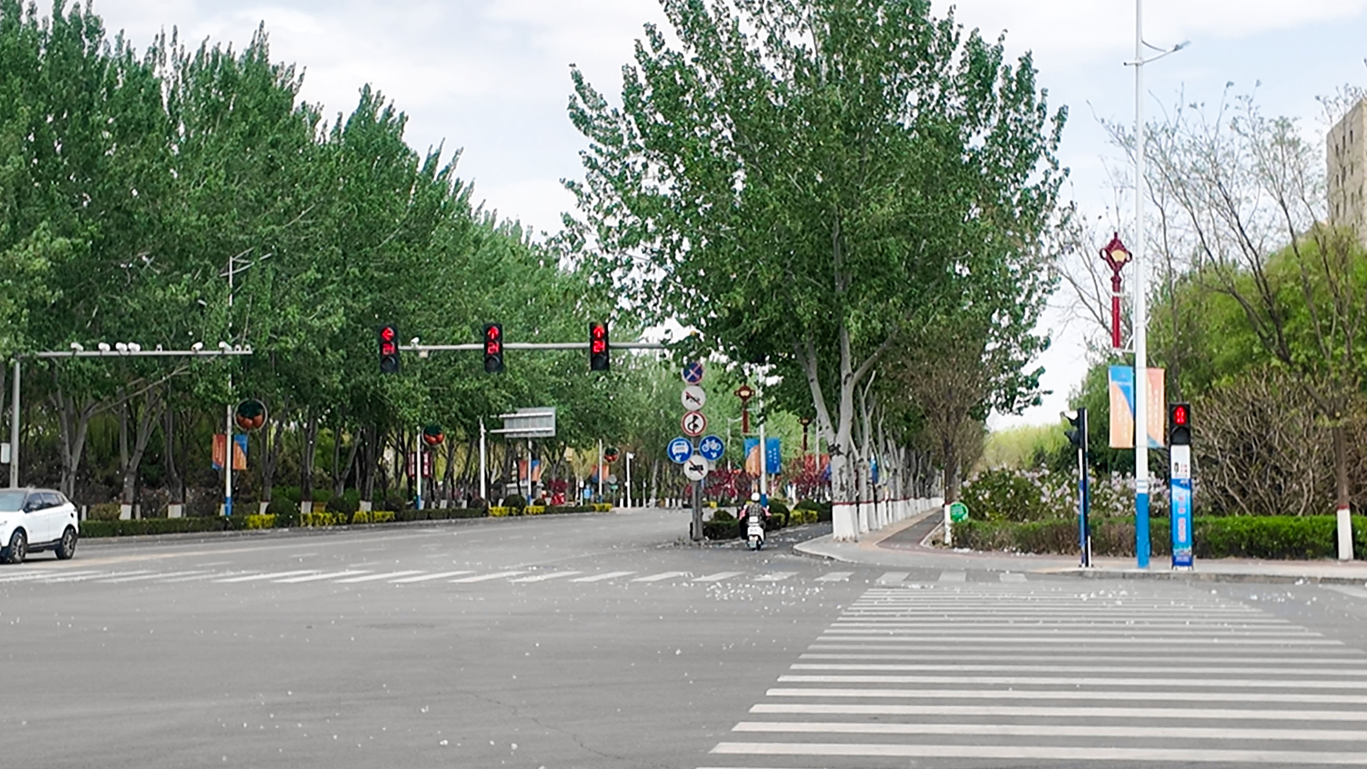 飞絮季来袭 防护不松懈 (3)1.jpg 飞絮季来袭 防护不松懈 (3)1.jpg