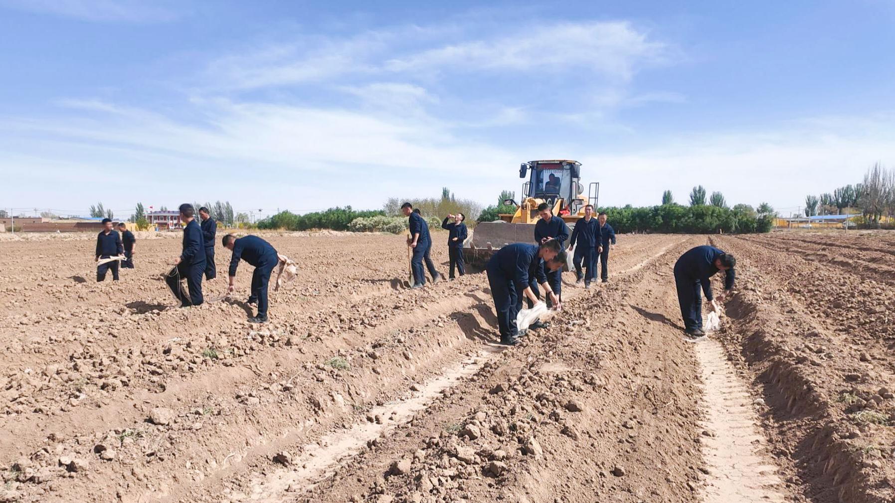 军地同心助农兴 携手共治美乡村 (9)1.jpg