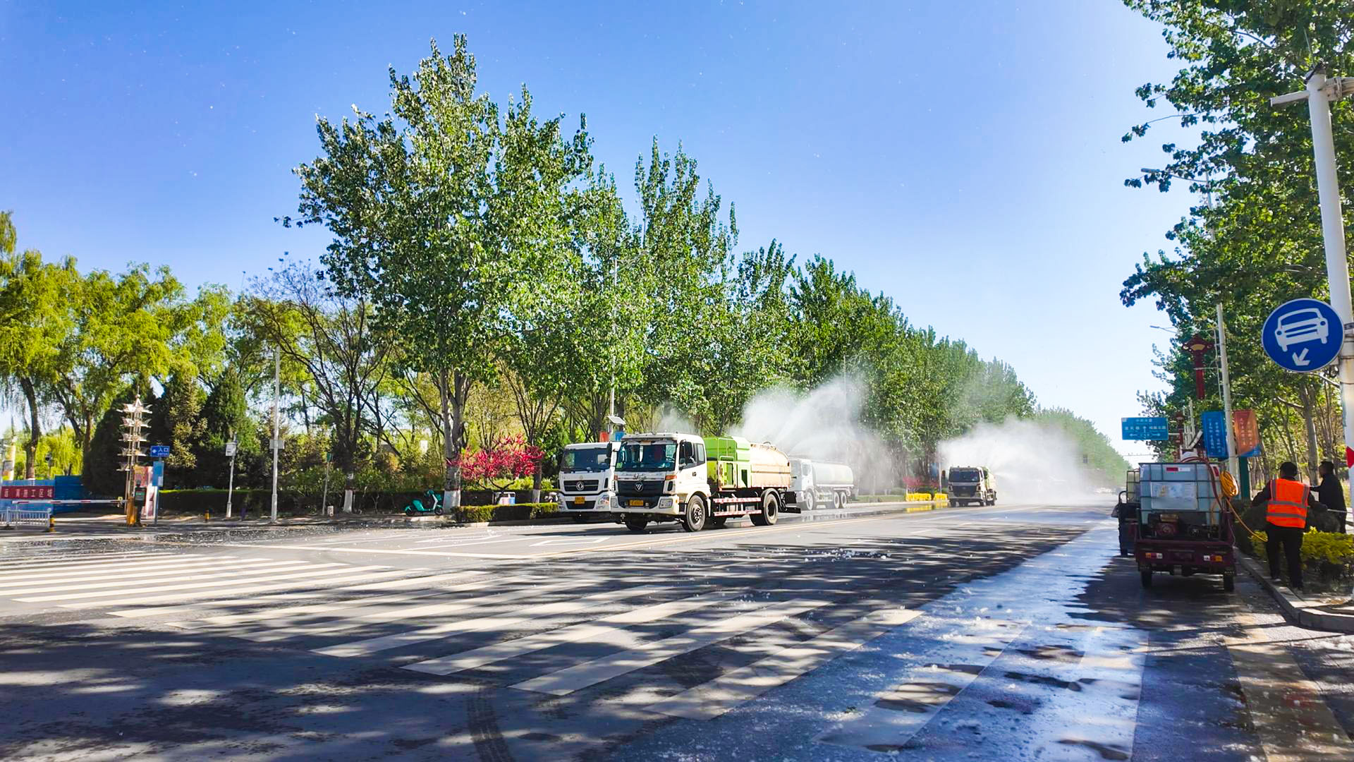 我县全面开展柳絮专项整治行动 (1)1.jpg