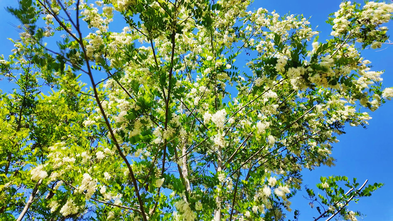5月1日(5).jpg