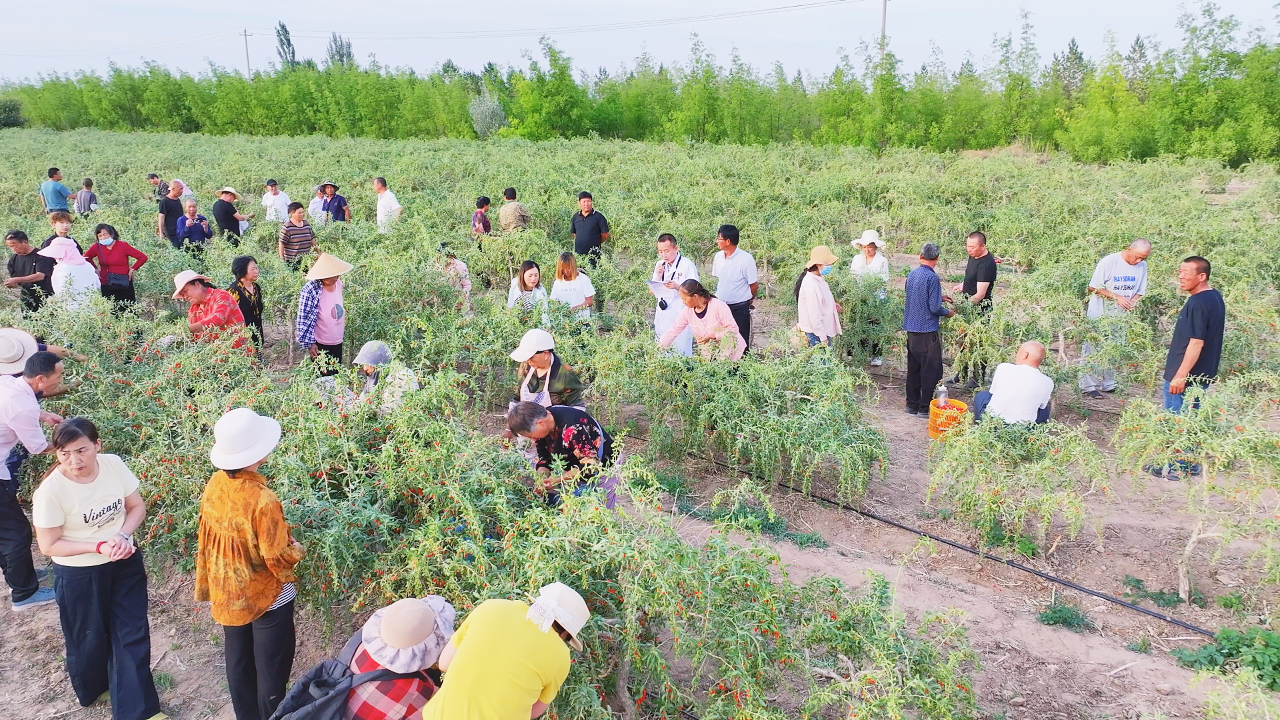 6月26日 (3).jpg