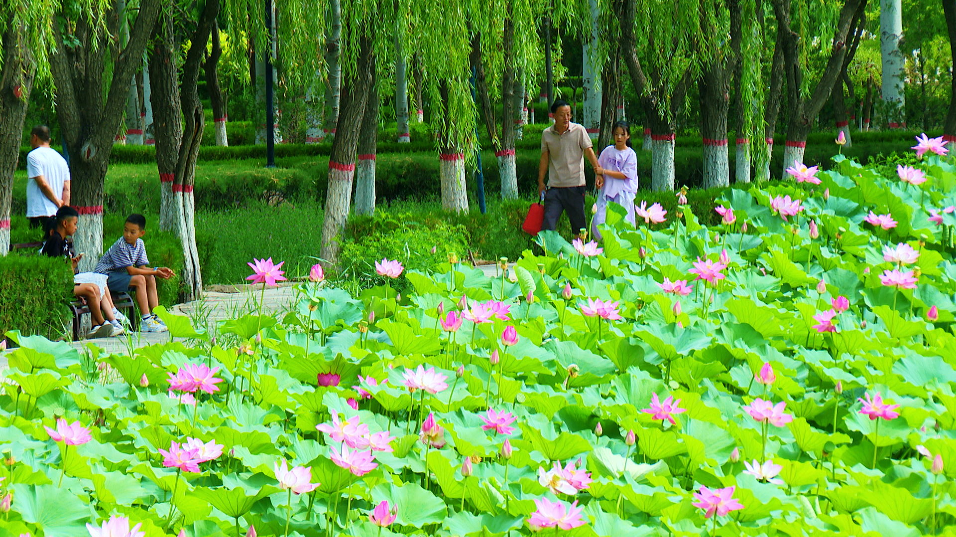 7月15日(14)7.jpg 7月15日(14)7.jpg