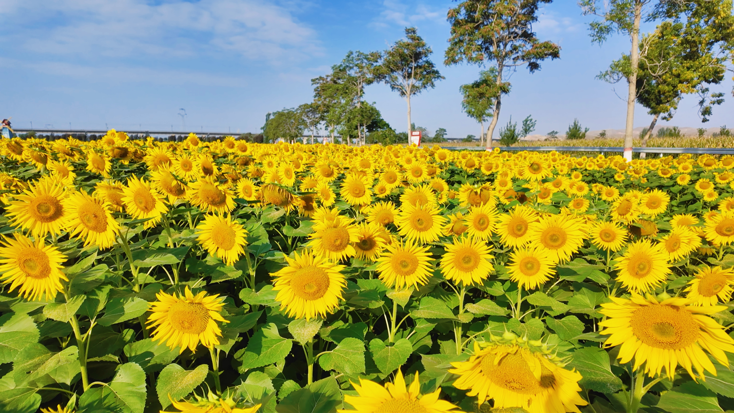 9月24日 (1)(3).jpg