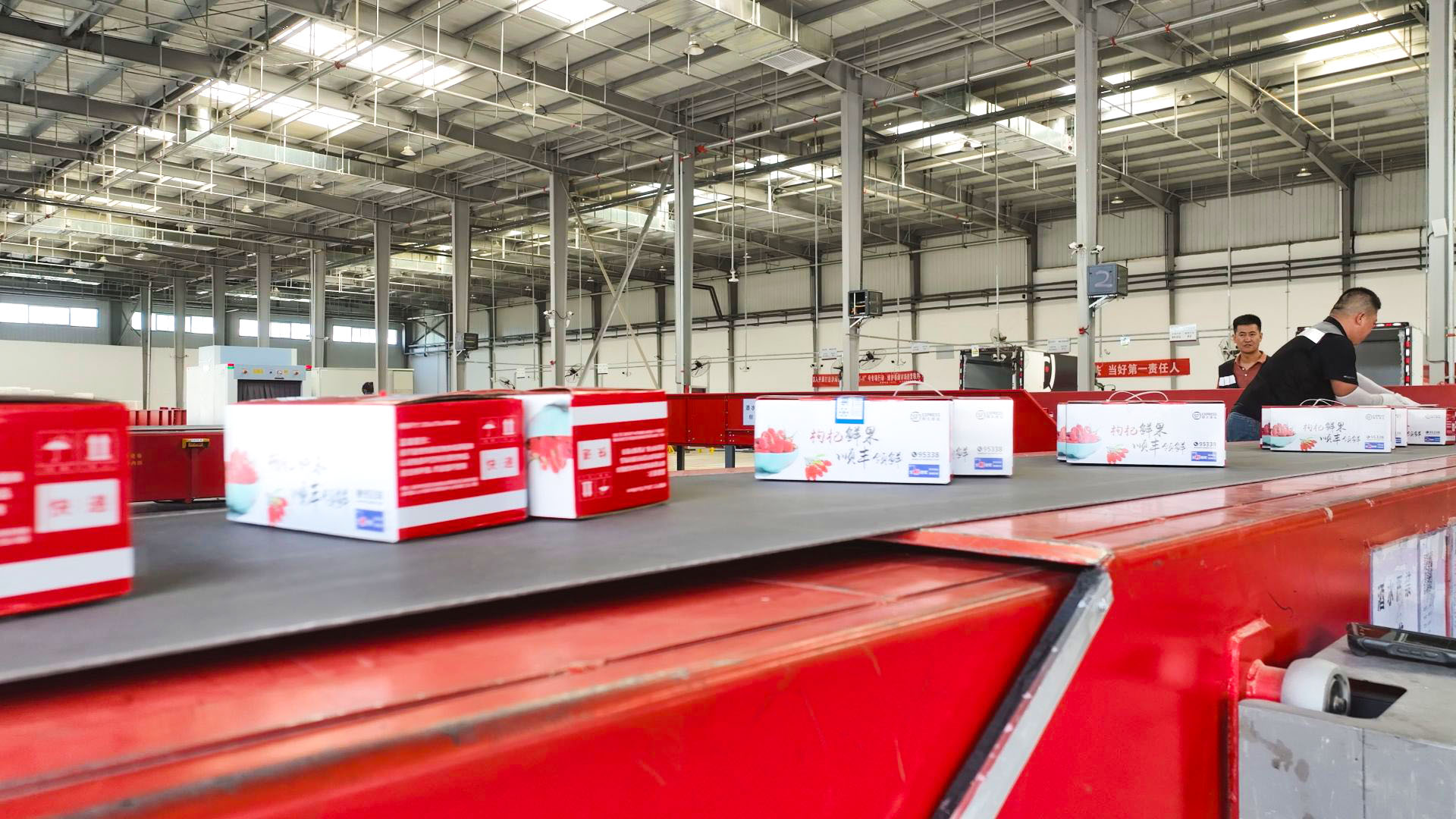 中宁枸杞出战“双十一 ” 电商加持助力销售额再攀新高 (49)1.jpg