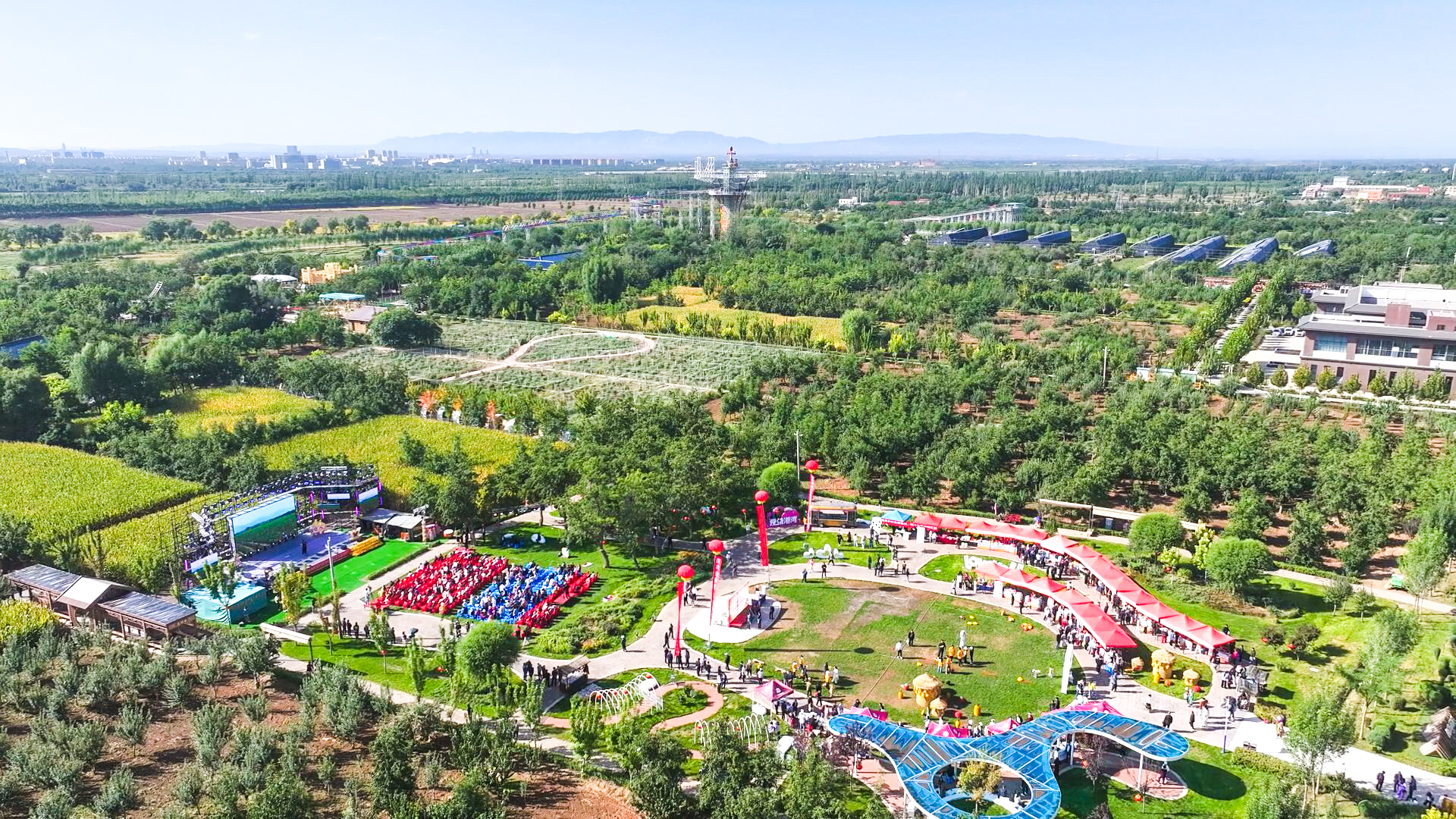 中宁县：深挖人才 (34)1.jpg