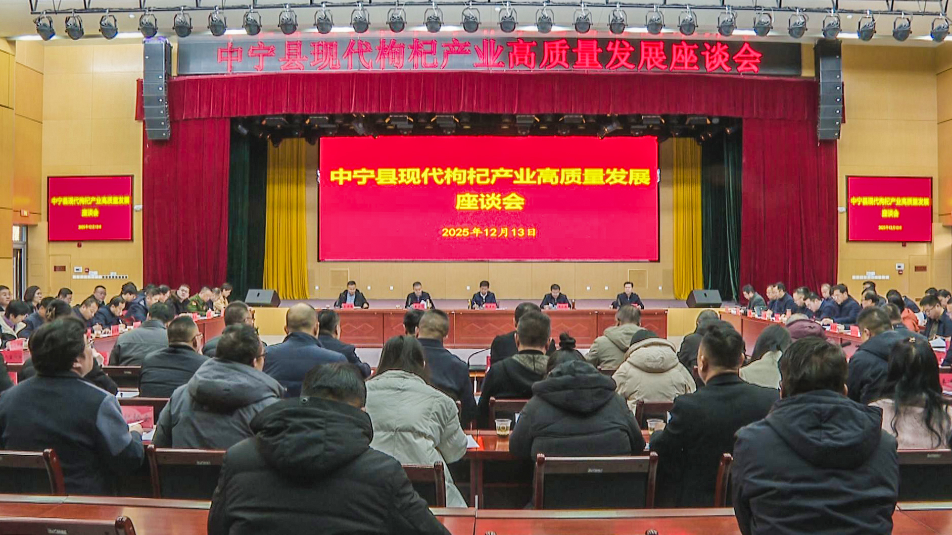 中宁枸杞产业高质量发展座谈会召开 (1)11.jpg 中宁枸杞产业高质量发展座谈会召开 (1)11.jpg