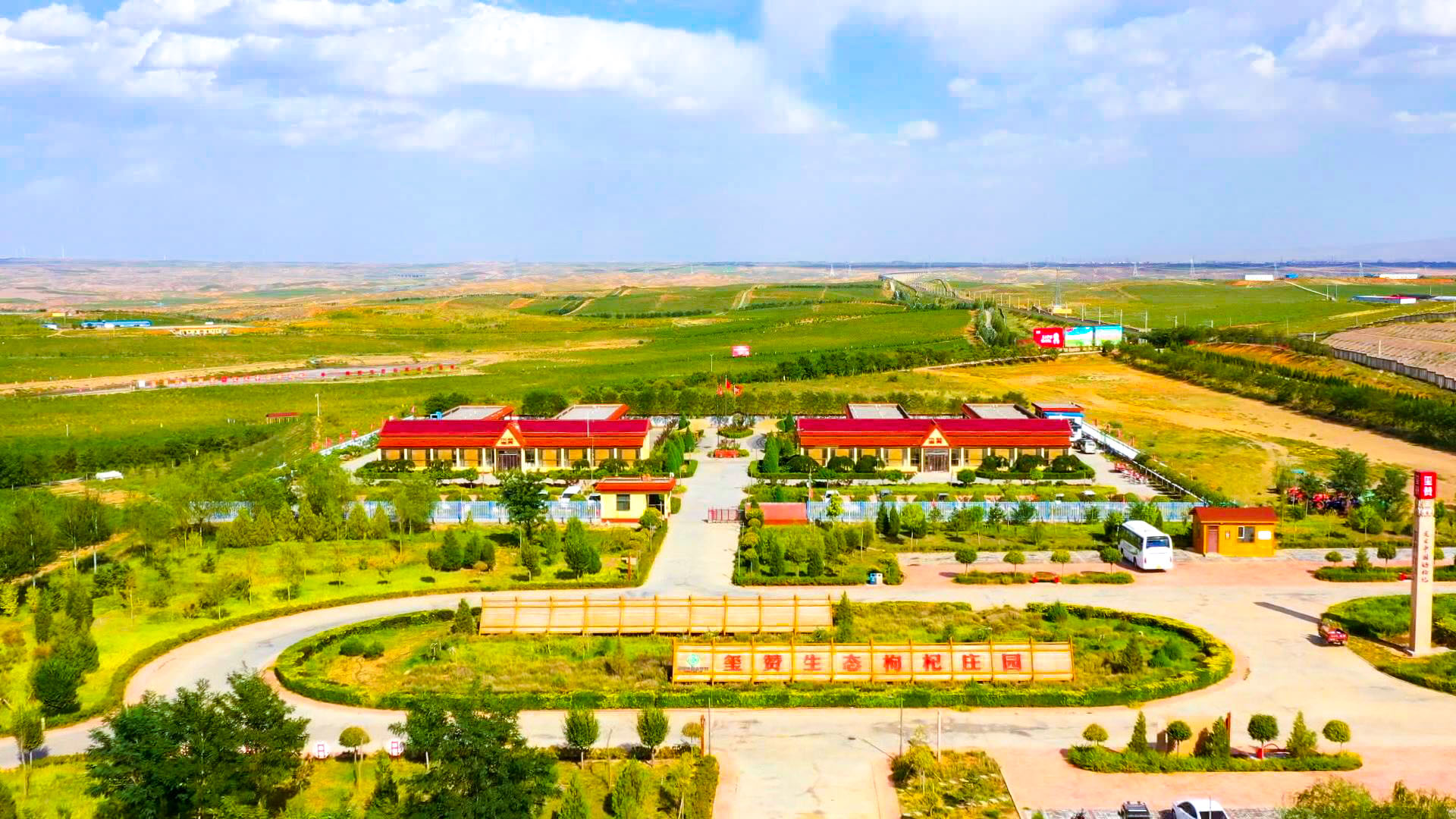 山林权改革激活“杞”动力 中宁枸杞铺就“以林兴杞、以杞富民”路 (72)1.jpg