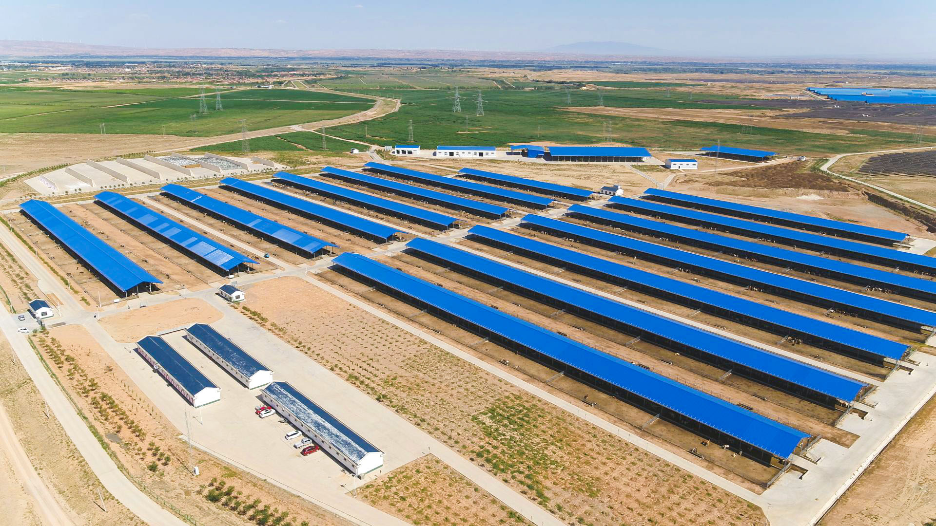 特色产业“挑大梁”“十四五”期间中宁现代农业跑出转型“加速度” (60)1.jpg