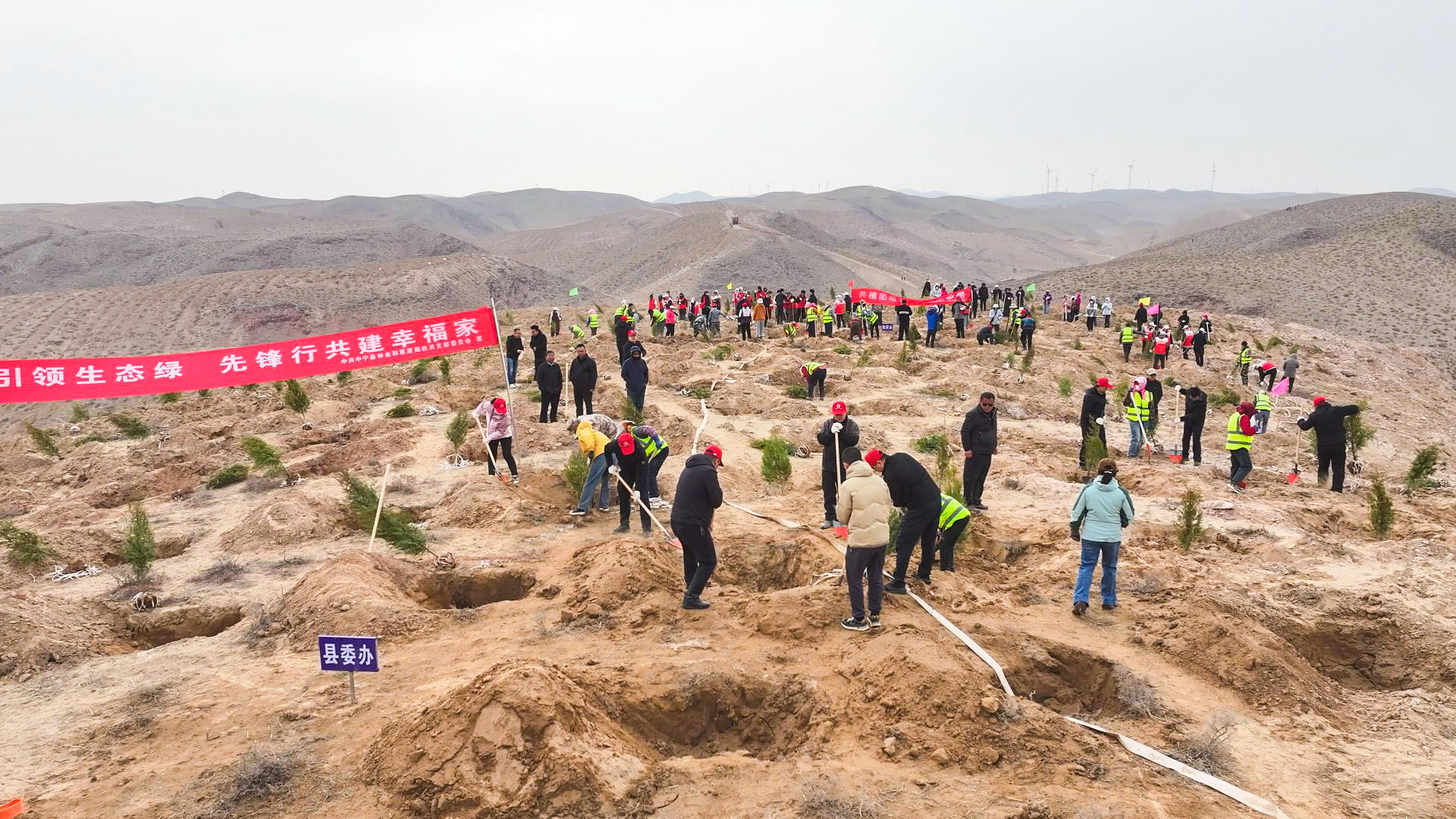 不负春光添新绿 携手共植“团结林” 中宁县开展春季义务植树活动 (31)2222.jpg