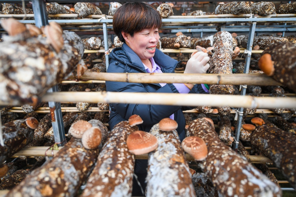 W020251111287703056954.jpeg W020251111287703056954.jpeg