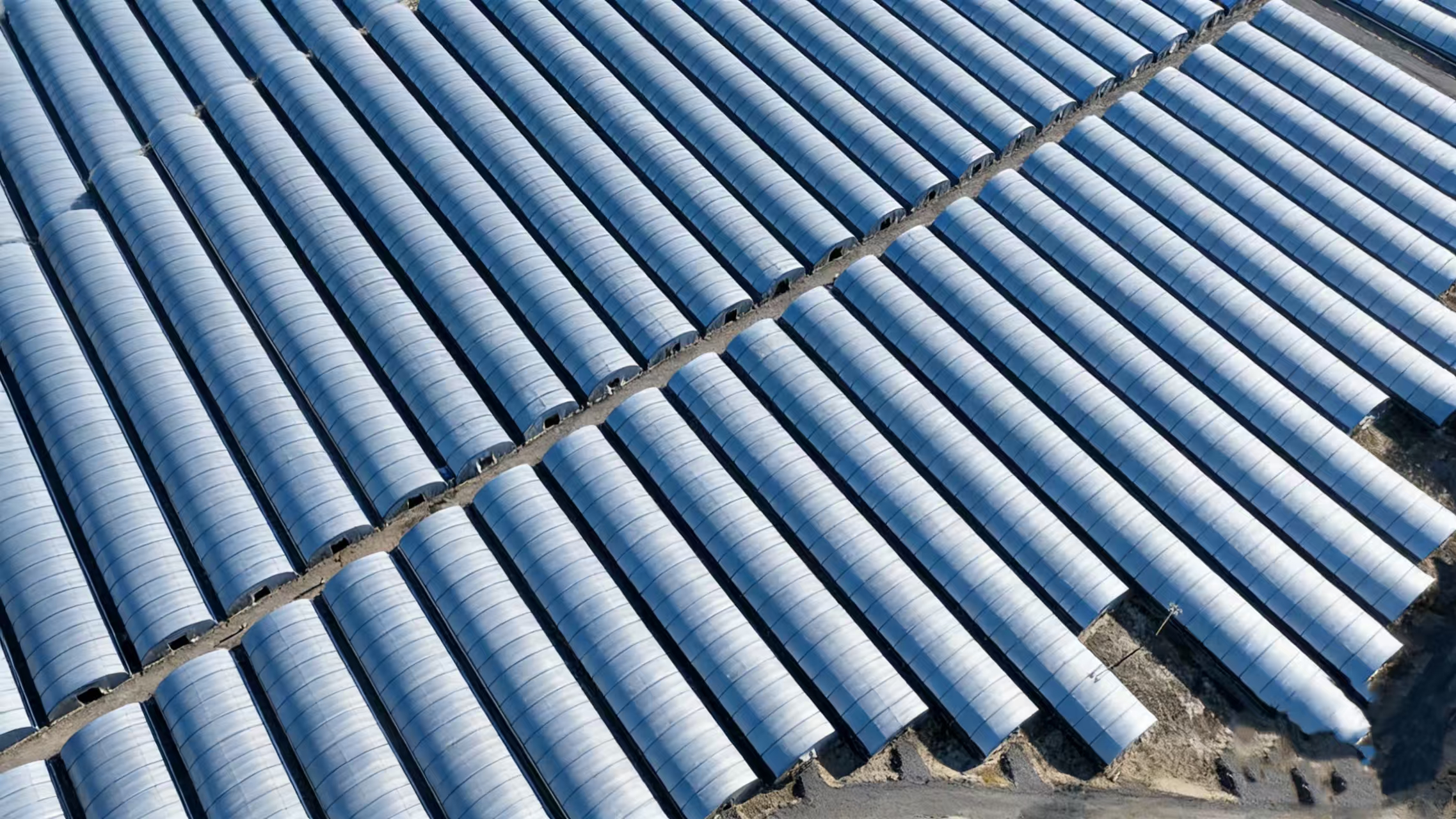 W020251213523028734409.jpg W020251213523028734409.jpg