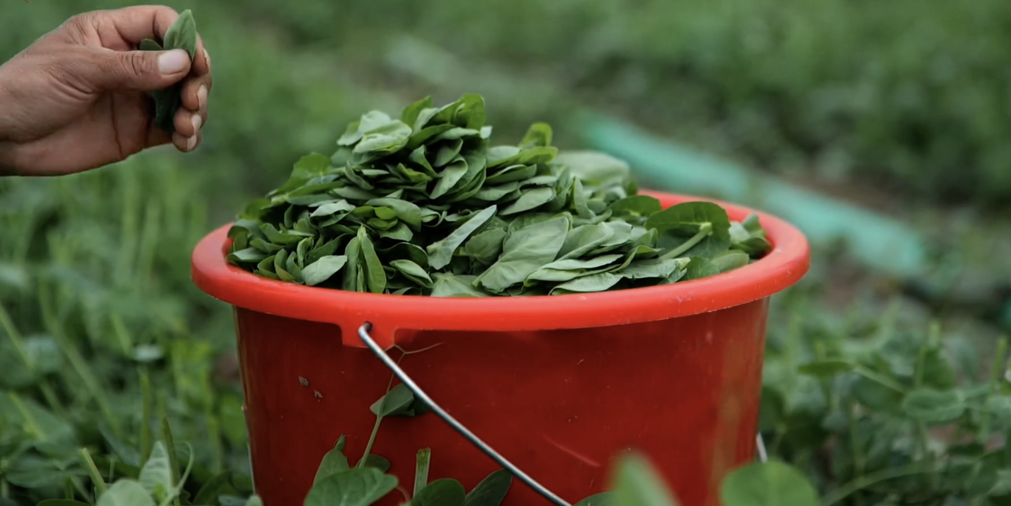 W020251213523062398358.png W020251213523062398358.png