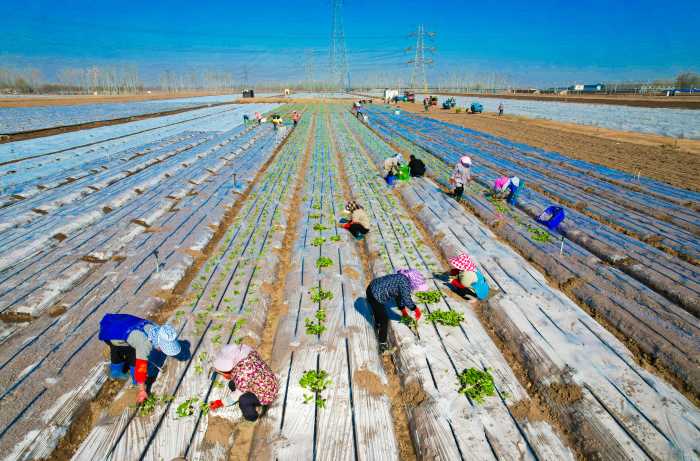 W020250322302804288619.jpg W020250322302804288619.jpg