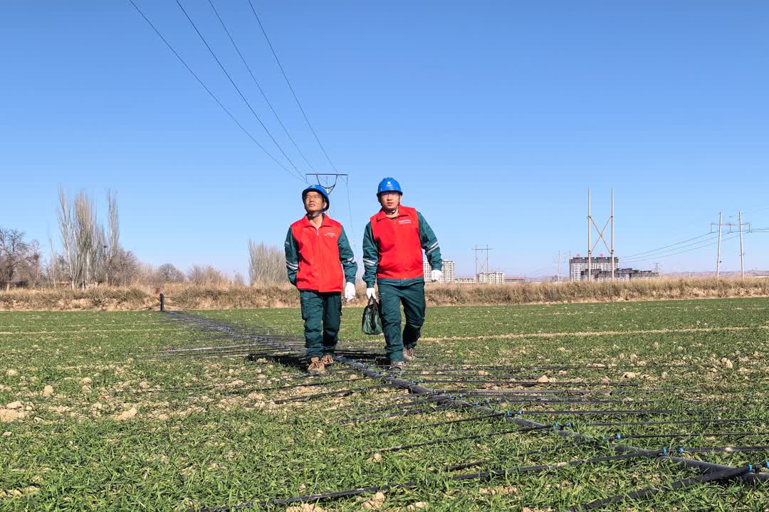 W020251122363299777786.jpg W020251122363299777786.jpg