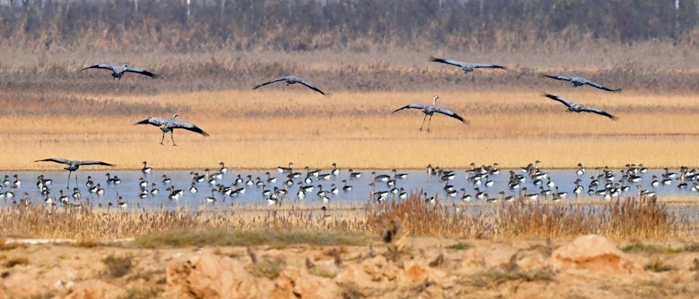 W020251112294846901002.jpeg W020251112294846901002.jpeg